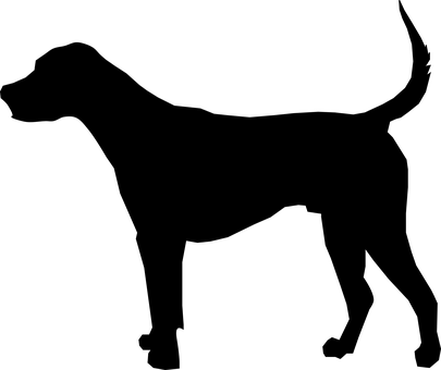 AKCE PSI